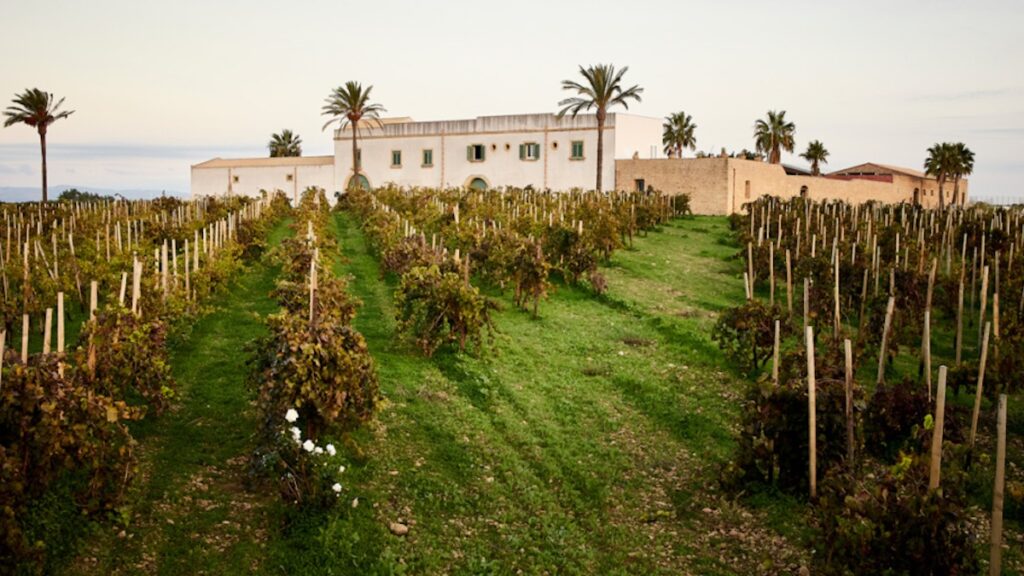 Terre dei Tesori