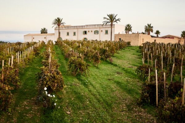 Terre dei Tesori